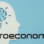 what-is-neuroeconomics